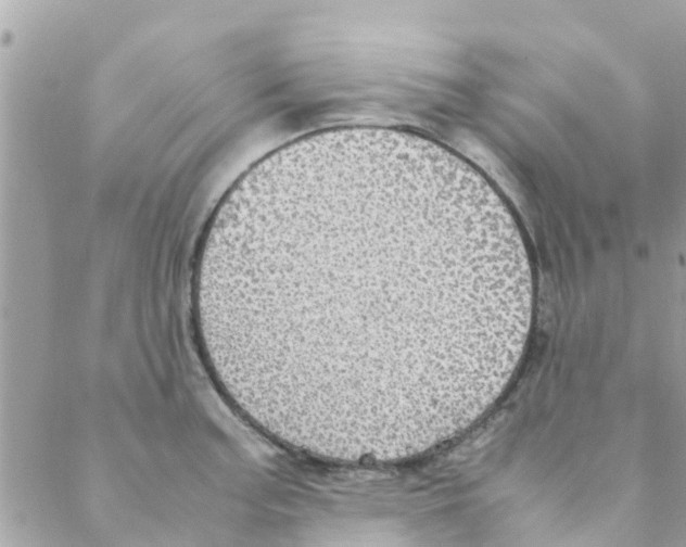 X0000088231187200706121848