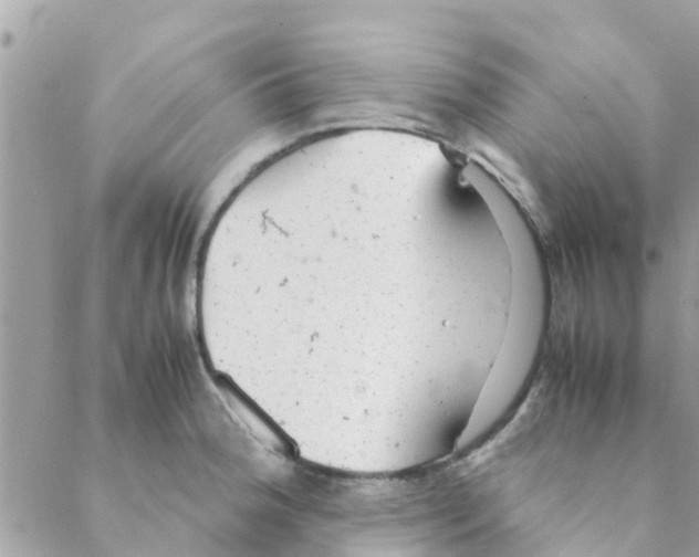 X0000088231188200706121848