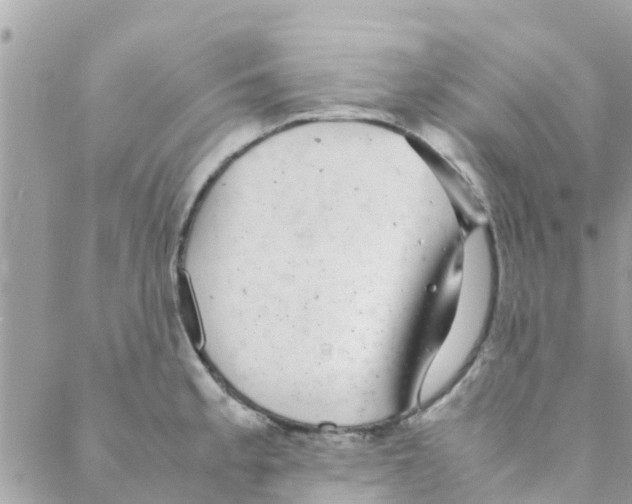 X0000088231189200706121848