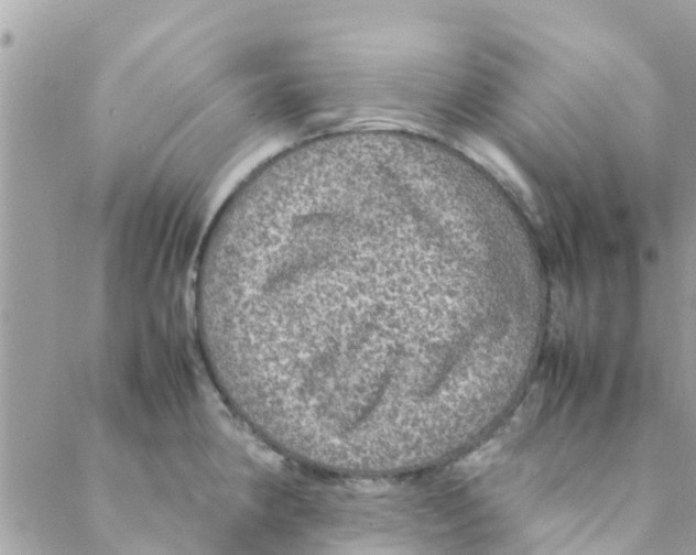 X0000088231190200706121848