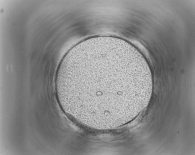 X0000088231191200706121848