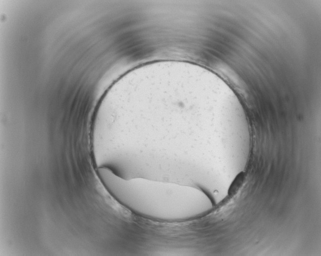 X0000088231192200706121848