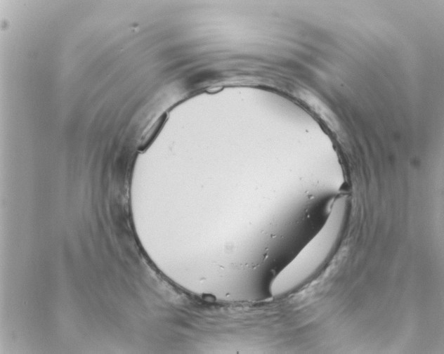 X0000088231193200706121848