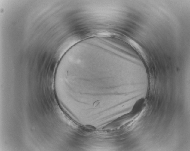 X0000088231194200706121848