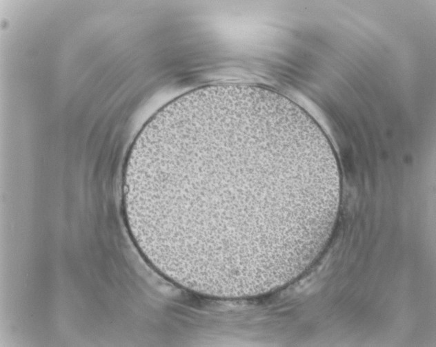 X0000088231195200706121848