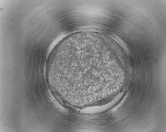 X0000088231196200706121848