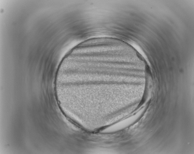 X0000088231197200706121848