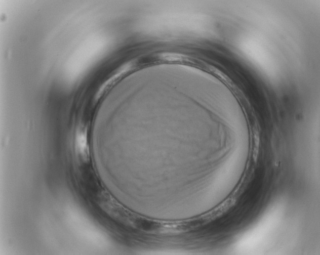 X0000088231198200706121848