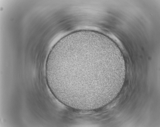 X0000088231199200706121848