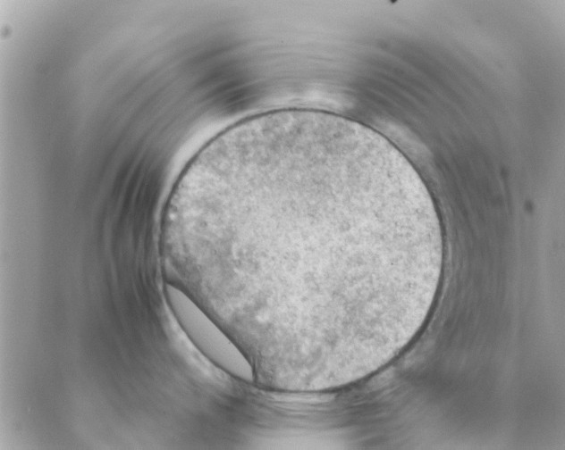 X0000088231200200706121848