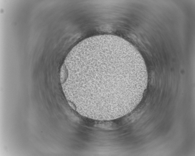 X0000088231201200706121847