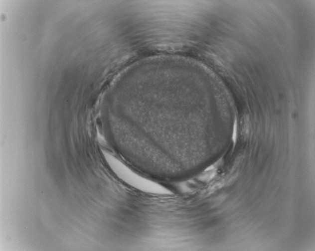 X0000088231202200706121847