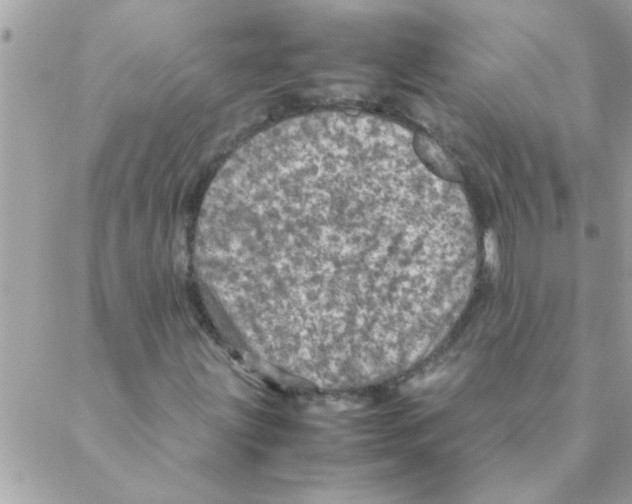 X0000088231203200706121847