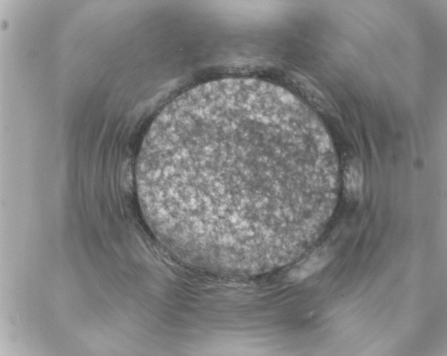 X0000088231204200706121847