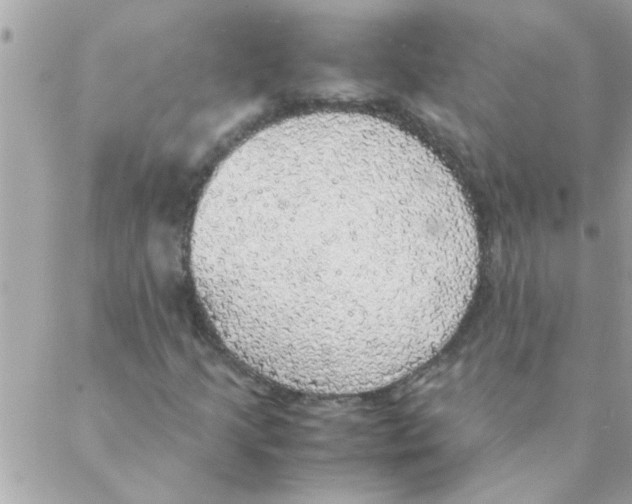 X0000088231205200706121847