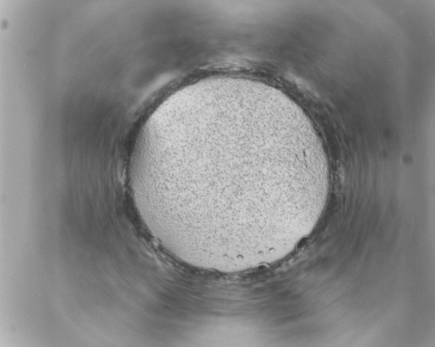 X0000088231206200706121847