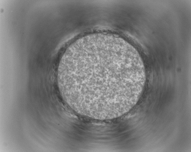 X0000088231207200706121847