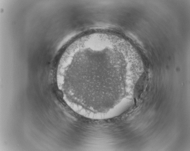 X0000088231208200706121847