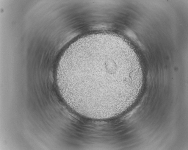 X0000088231209200706121847