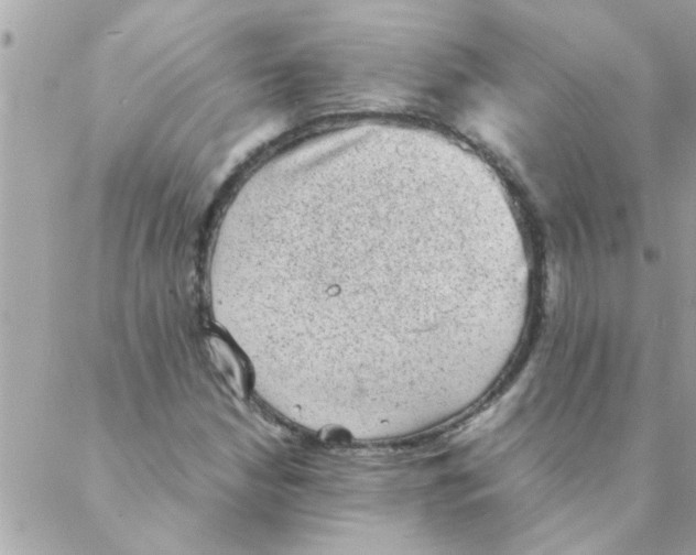 X0000088231210200706121847