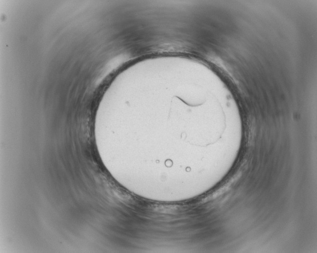 X0000088231211200706121847