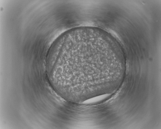 X0000088231212200706121847