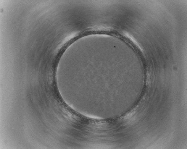 X0000088231213200706121847