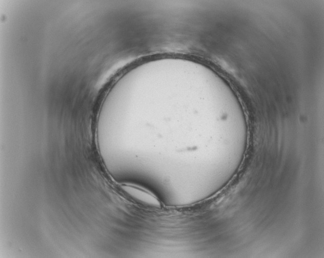 X0000088231214200706121847