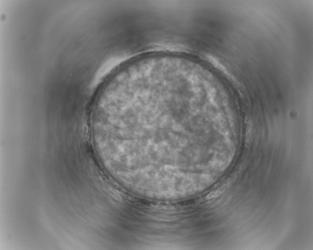 X0000088231215200706121847