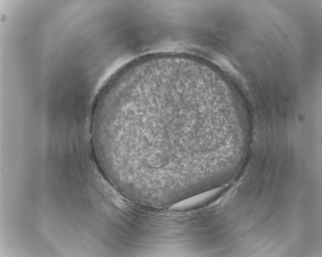 X0000088231216200706121847