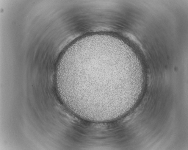 X0000088231217200706121847