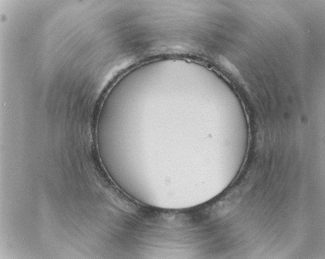 X0000088231218200706121847