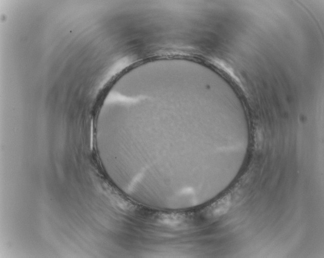 X0000088231219200706121847