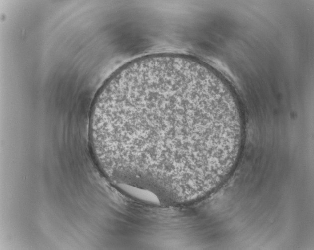 X0000088231220200706121847