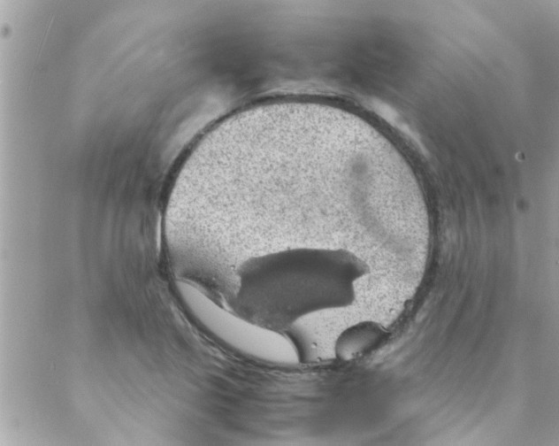 X0000088231221200706121847