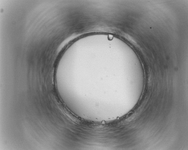 X0000088231222200706121847