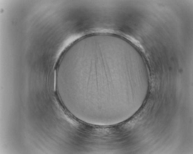 X0000088231223200706121848