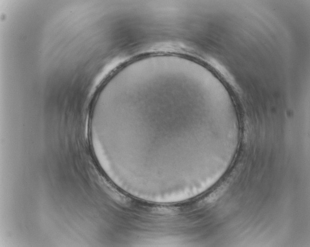 X0000088231224200706121848