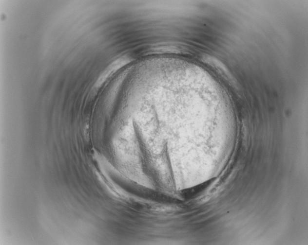 X0000088231225200706121848