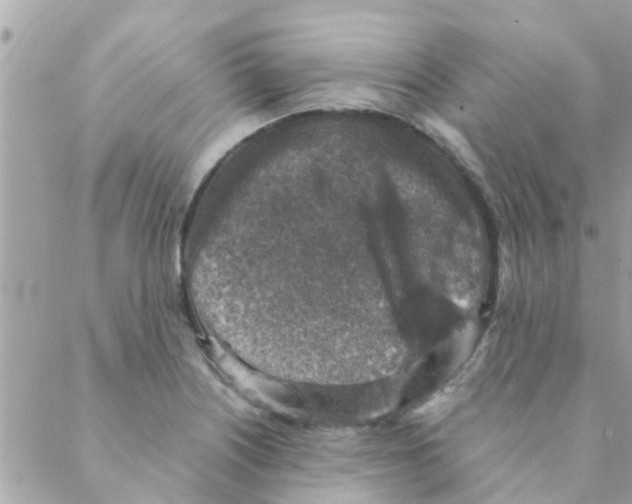 X0000088231226200706121848