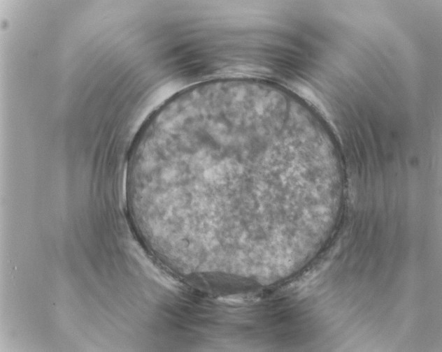 X0000088231227200706121848