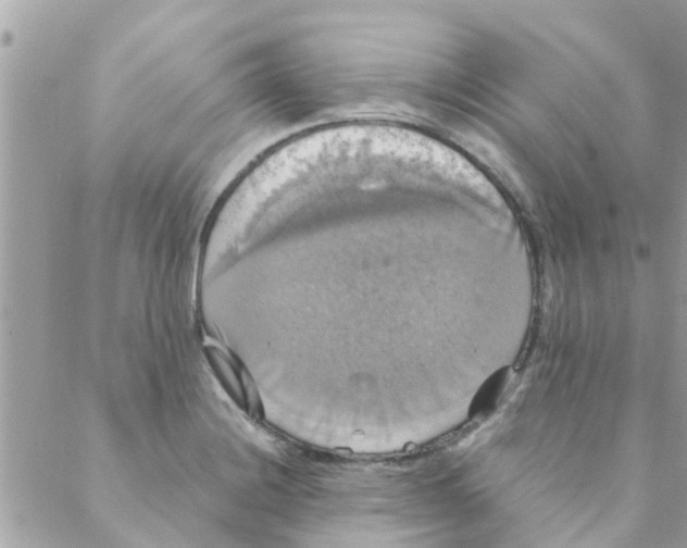 X0000088231228200706121848