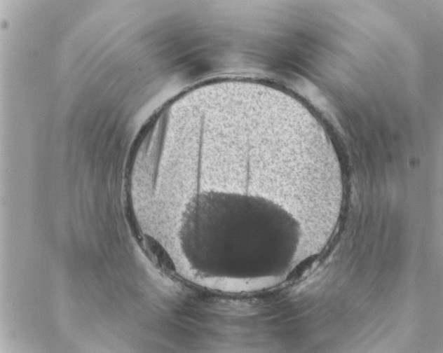 X0000088231229200706121848