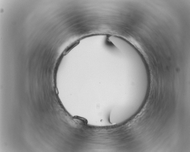 X0000088231230200706121848