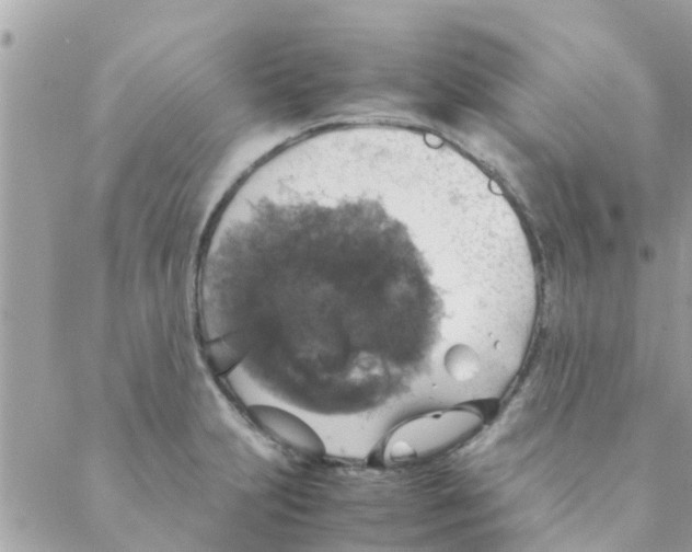 X0000088231231200706121848