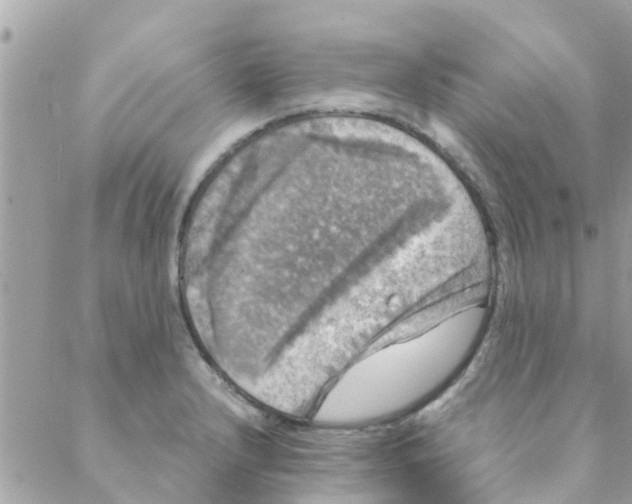 X0000088231232200706121848