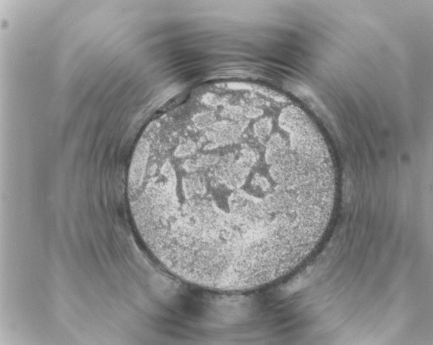 X0000088231233200706121848