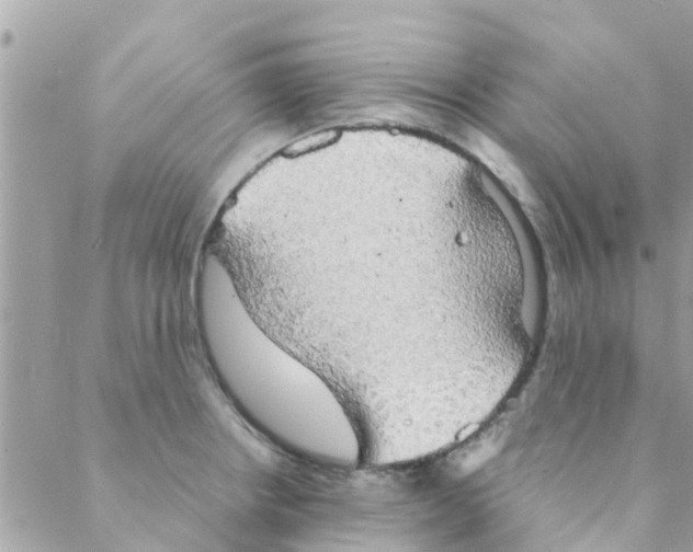 X0000088231234200706121848