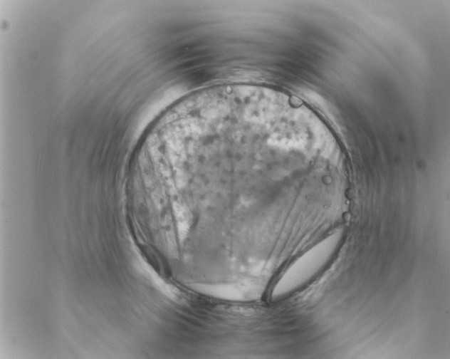 X0000088231235200706121848