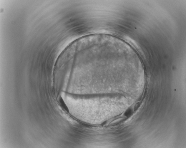 X0000088231236200706121848